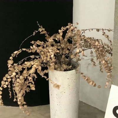 Furry创作脑洞合集FurryQQ群